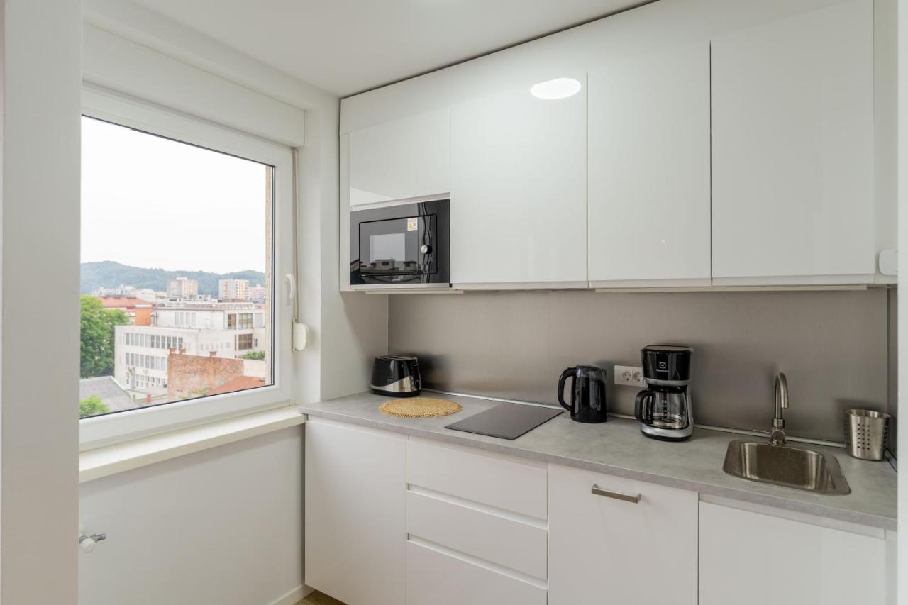 Elegant Tour As Studio Gilly With Open Views And A Balcony In The Center 卢布尔雅那 外观 照片